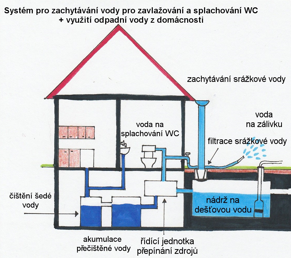 dešťovka 03