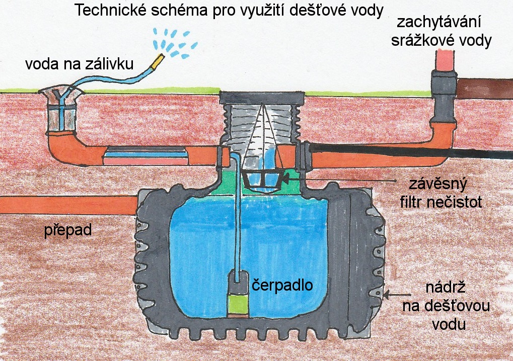 dešťovka 04